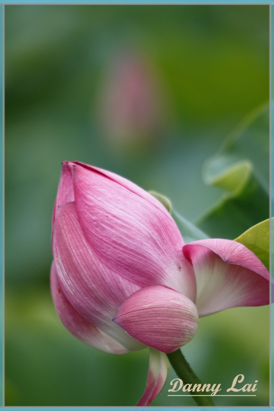 http://i.dcview.tw/gallery/201106/51167ceeaa8a68195a928e20c6b248d6.jpg