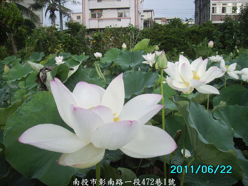 http://i.dcview.tw/gallery/201106/5161e27a64650ba4f51f6d084767f8d4.jpg