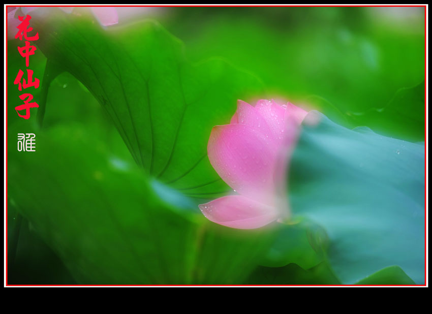http://i.dcview.tw/gallery/201106/5284a3eaf35308b10e811cada67534ef.jpg