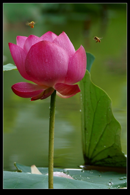 http://i.dcview.tw/gallery/201106/55f185dcd7375be857b2a1928a13827e.jpg