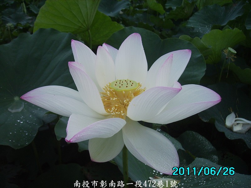 http://i.dcview.tw/gallery/201106/573a6fed171f7dfa88c91f724fed9da3.jpg