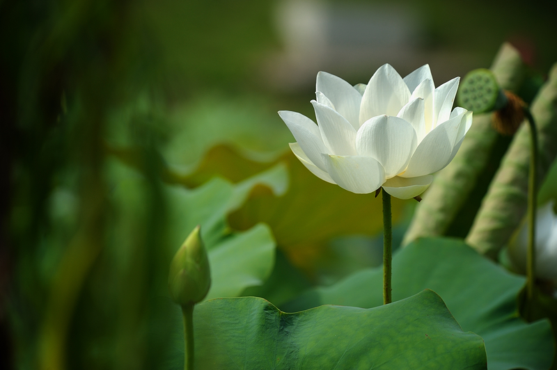 http://i.dcview.tw/gallery/201106/59339ac67d7b0da16f4edda97a797982.jpg