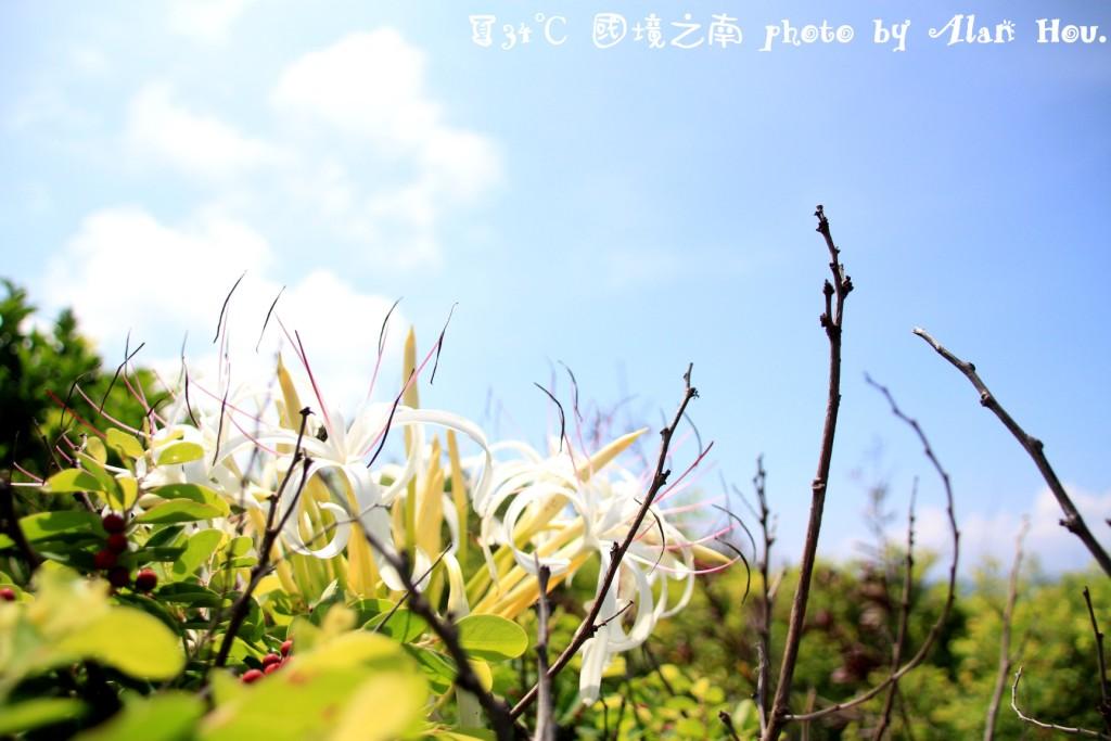 http://i.dcview.tw/gallery/201106/595f303625ee174b6f009e5a9ad7816d.jpg