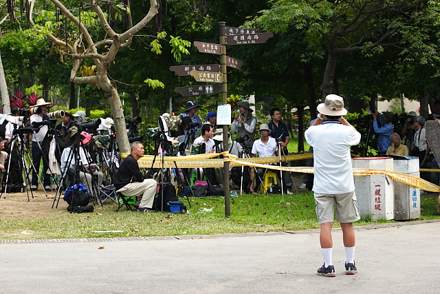 http://i.dcview.tw/gallery/201106/59dba0dce3fc018bd90a98ae529741ec.jpg