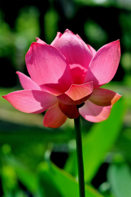 http://i.dcview.tw/gallery/201106/5f71d61720493a112af7d4fbd7bd5088.jpg