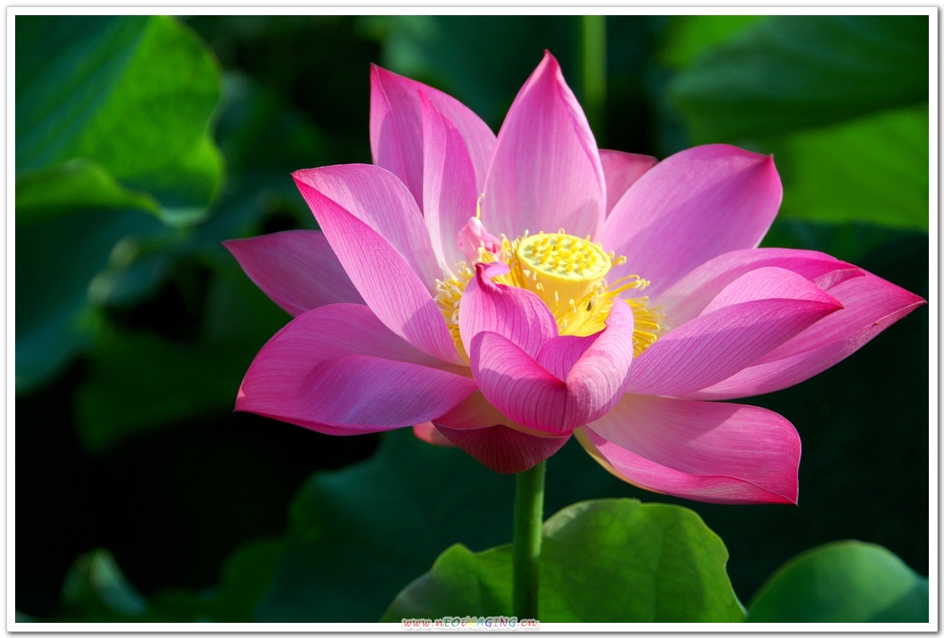 http://i.dcview.tw/gallery/201106/67f9788f5c4207fceed08ac2c7950d22.jpg