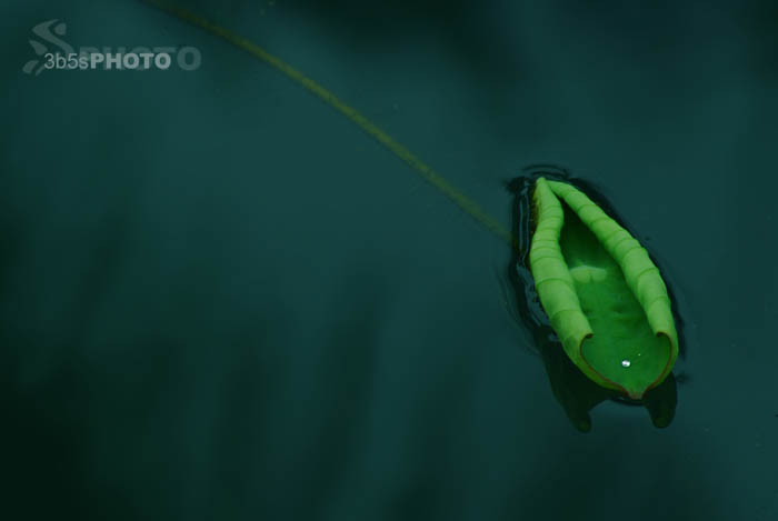 http://i.dcview.tw/gallery/201106/6d09363a67f69db9371411ac576d2ba9.jpg