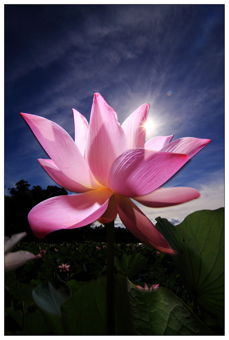 http://i.dcview.tw/gallery/201106/701a567f7a4be100c1d1bfae26bd78d2.jpg