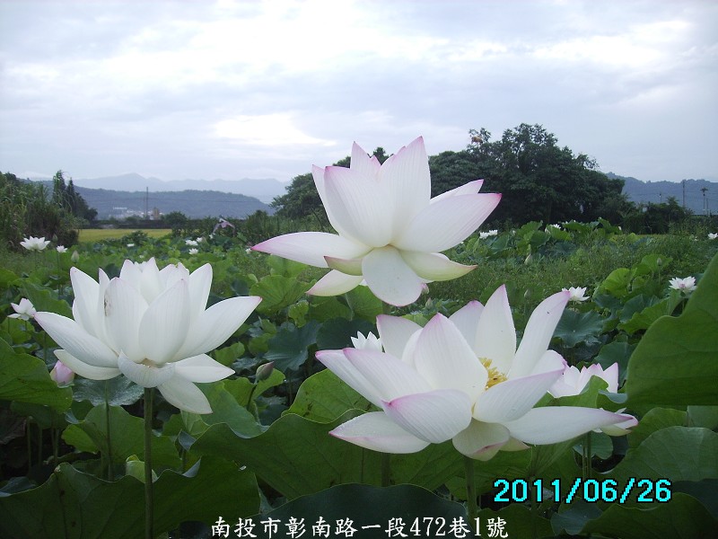 http://i.dcview.tw/gallery/201106/724b7baf2f5d750f489de8b547302988.jpg