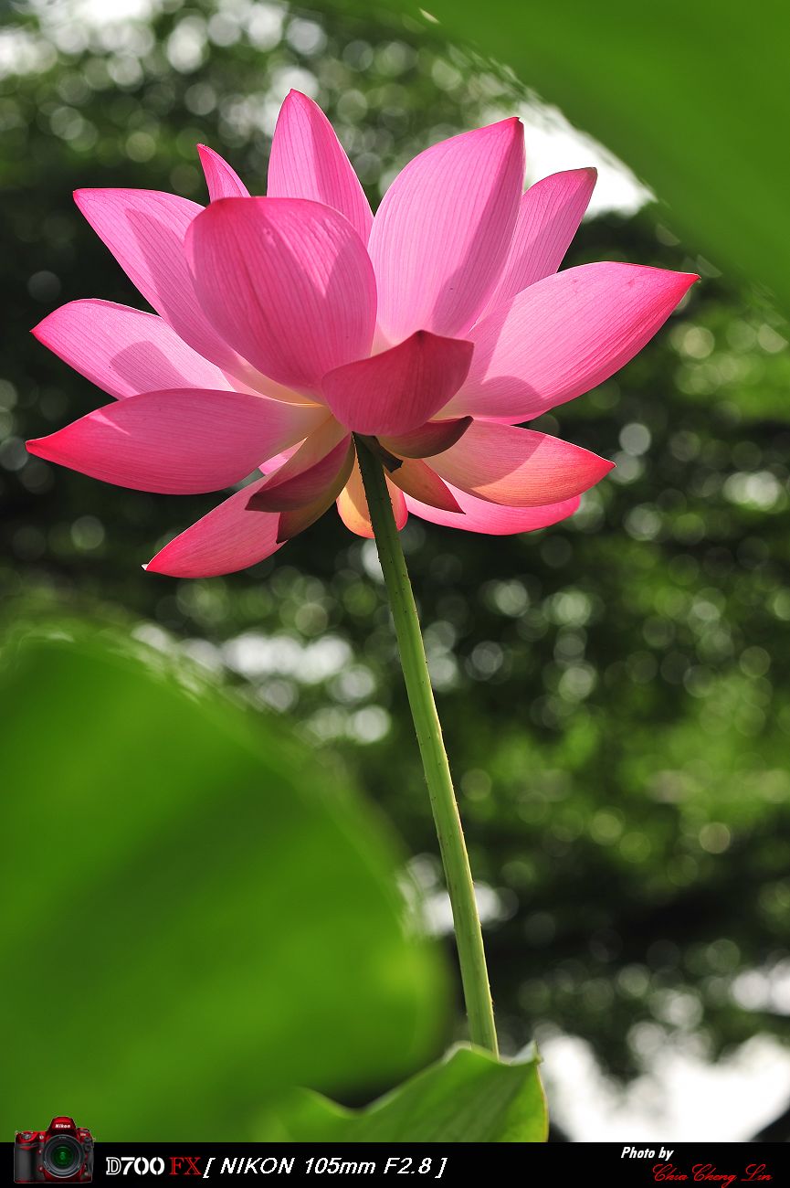 http://i.dcview.tw/gallery/201106/7254cb4dcf94bd21db251ee9665f78be.jpg