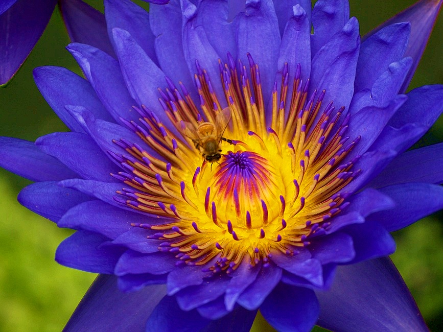 http://i.dcview.tw/gallery/201106/728f2f8365dc773485a8dbd1274ce229.jpg