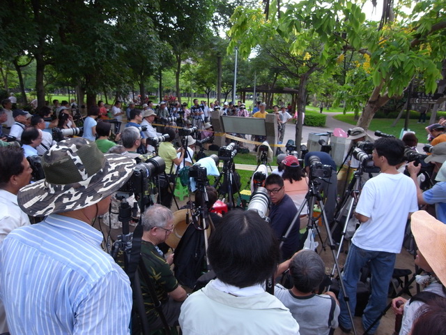 http://i.dcview.tw/gallery/201106/7328f803065f37c3a622e087996dff74.jpg