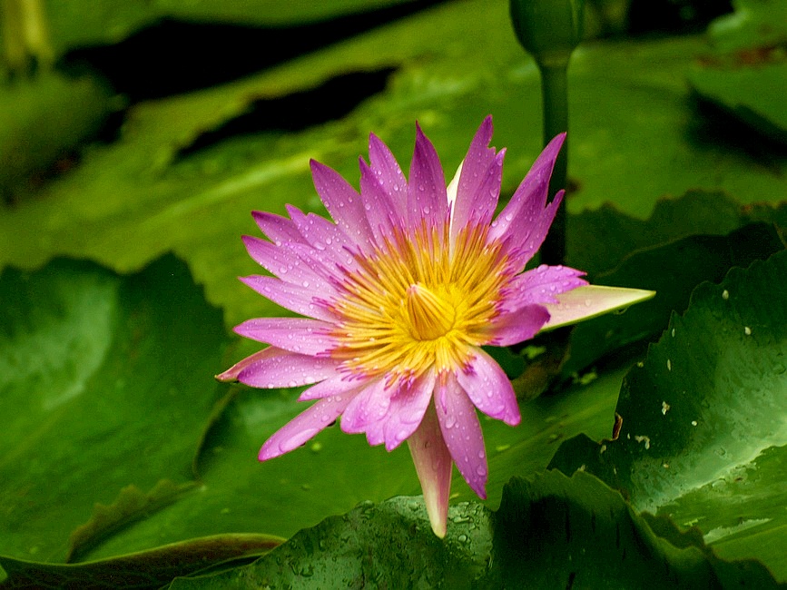 http://i.dcview.tw/gallery/201106/74eec17597edfc43f0b71b266a0420f2.jpg