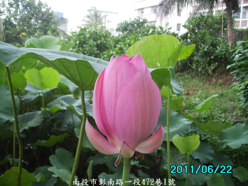 http://i.dcview.tw/gallery/201106/771053d01424cc5e50a561ae2e1032ba.jpg