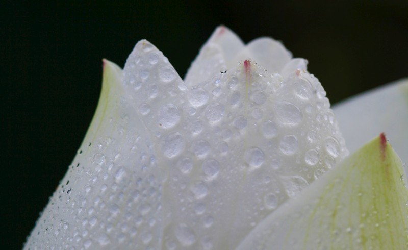 http://i.dcview.tw/gallery/201106/7dd0b3a92c29e759392d76957391162d.jpg