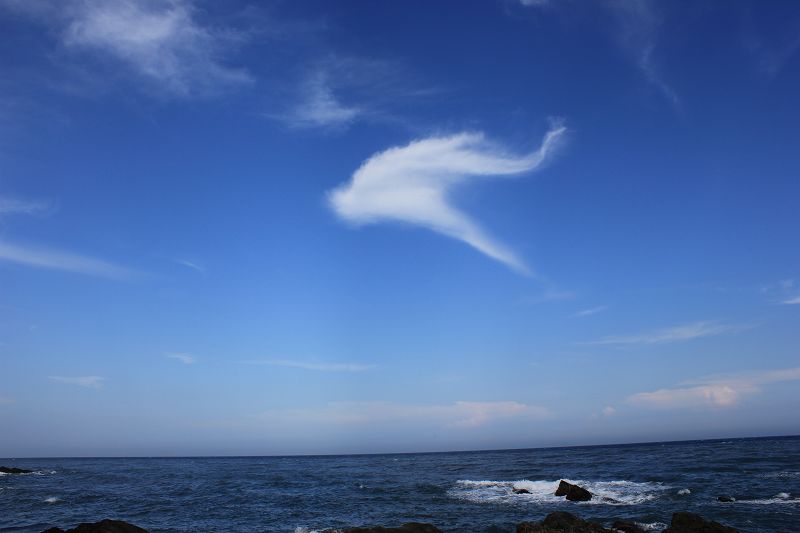 http://i.dcview.tw/gallery/201106/80e7f9868e7520197174433a87972324.jpg