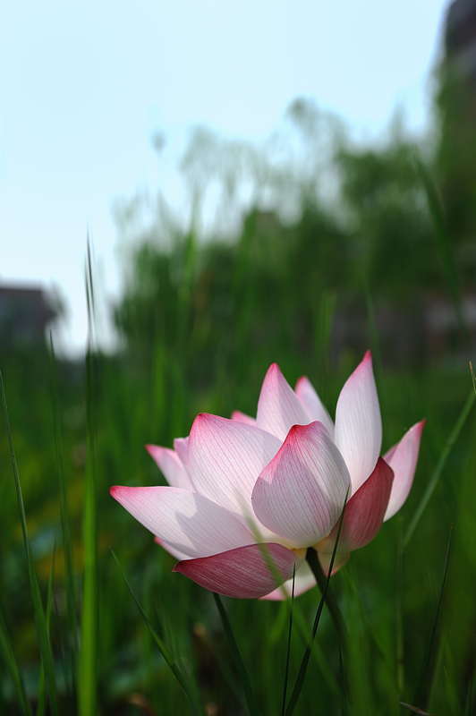 http://i.dcview.tw/gallery/201106/813b7901805be90de18581ee08a20d36.jpg