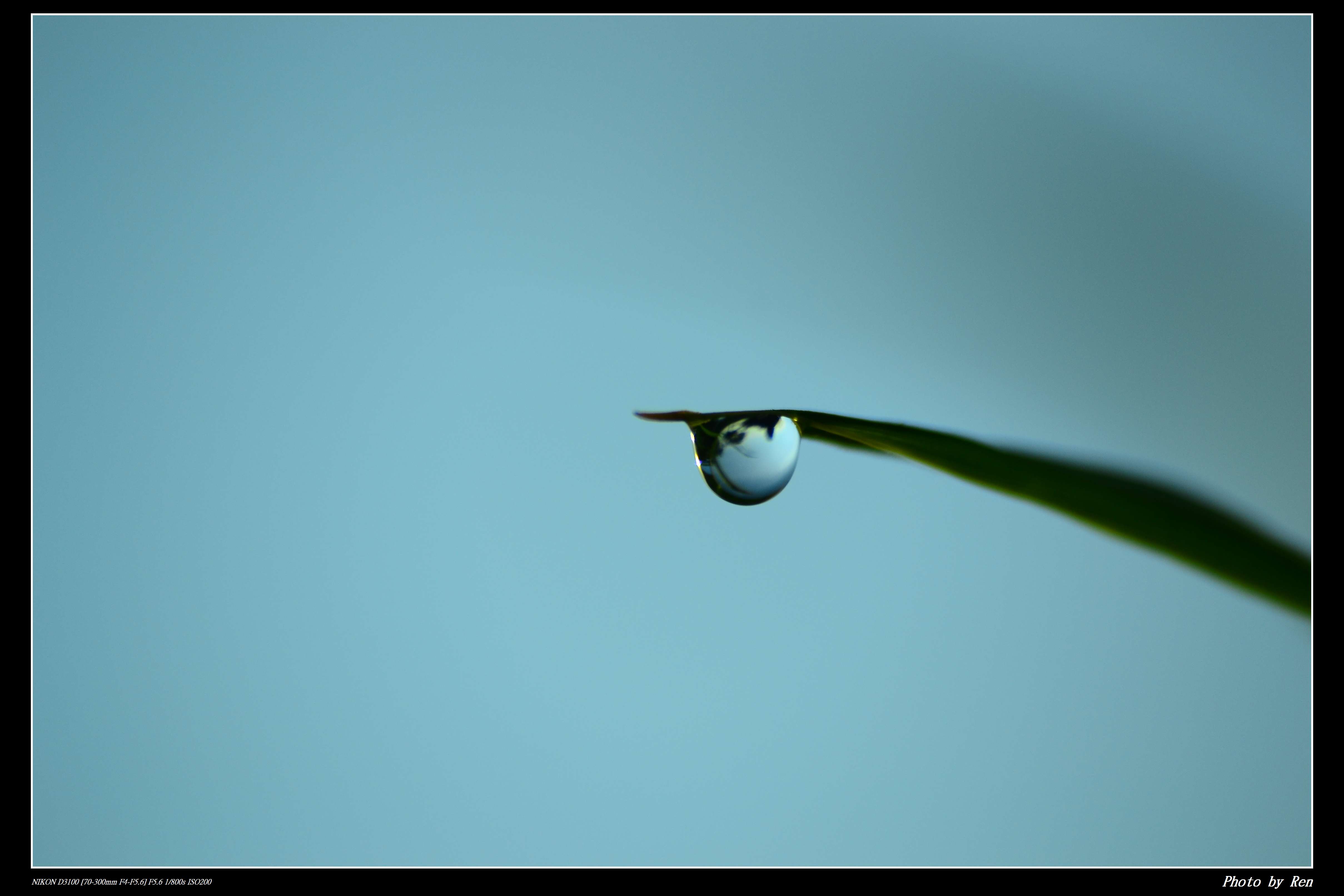http://i.dcview.tw/gallery/201106/81651d2c0e626c2152b259992eee36a0.jpg