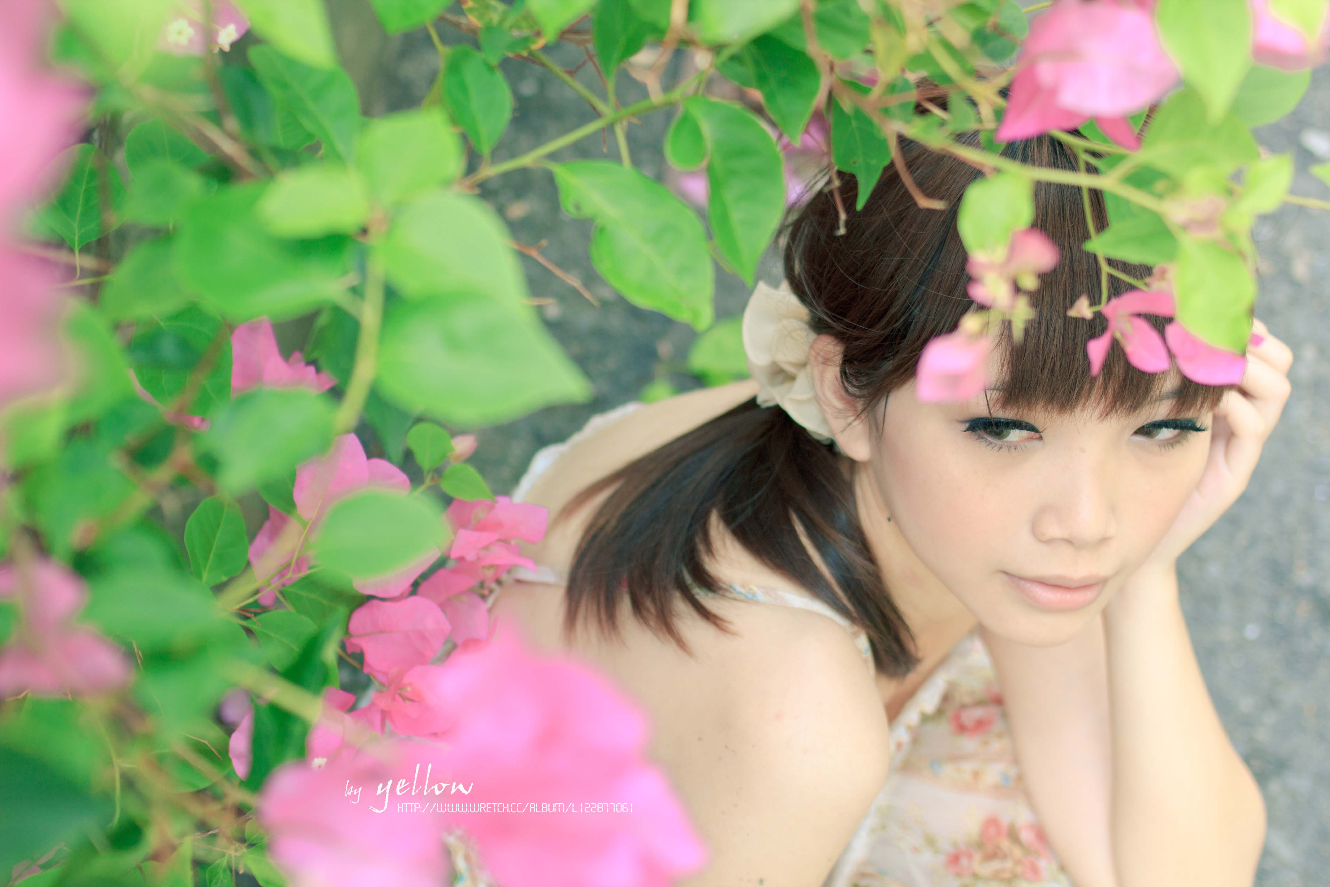 http://i.dcview.tw/gallery/201106/832d893ba59d14ec28c5b237f8f84a46.jpg