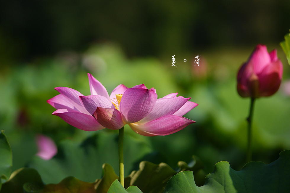 http://i.dcview.tw/gallery/201106/86f29192e498a5e6f9138817940e16f5.jpg