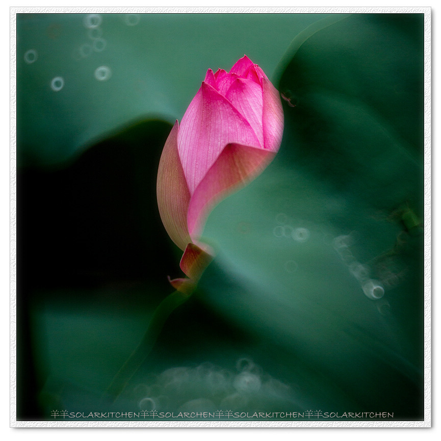 http://i.dcview.tw/gallery/201106/874bfac739bce482843fd0b6ae9e2148.jpg