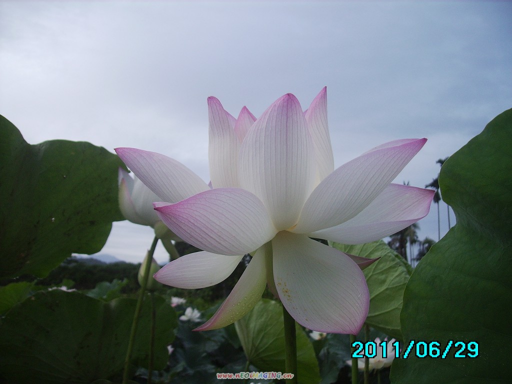 http://i.dcview.tw/gallery/201106/87c2a66835cf01385860f520280e8f9f.jpg
