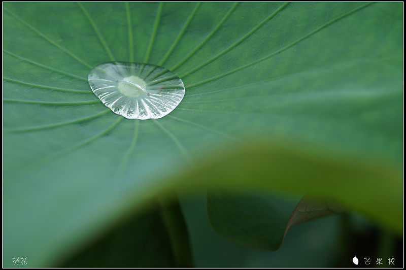 http://i.dcview.tw/gallery/201106/87f9b9d147809373079586821e2595d7.jpg