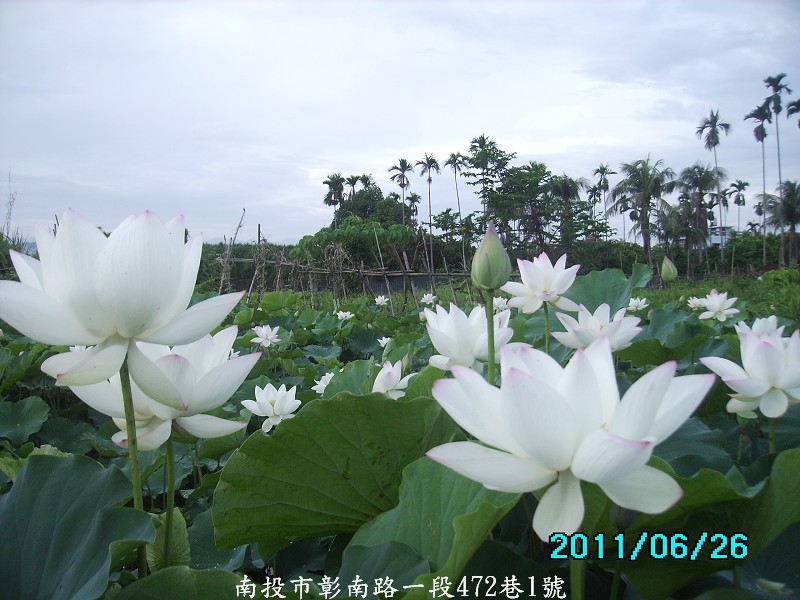 http://i.dcview.tw/gallery/201106/899f1ebf18fae441fca0f60e71a62c1a.jpg
