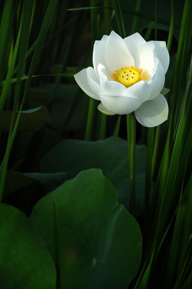 http://i.dcview.tw/gallery/201106/8d684a45abf43f7fdff80dd24f918d7e.jpg