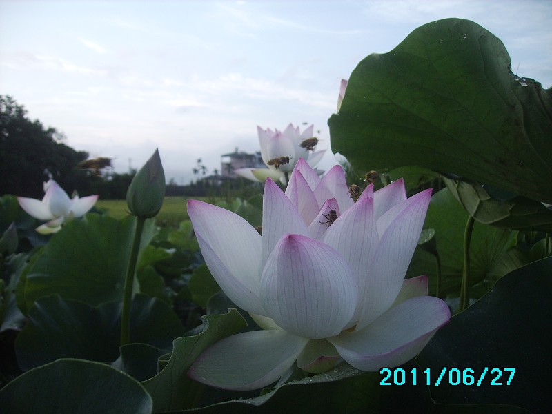 http://i.dcview.tw/gallery/201106/90691af2cc755ccd8127daf3daed241b.jpg
