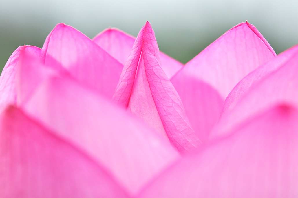 http://i.dcview.tw/gallery/201106/90d2fff5167cb37eae4a49f4291d09bd.jpg