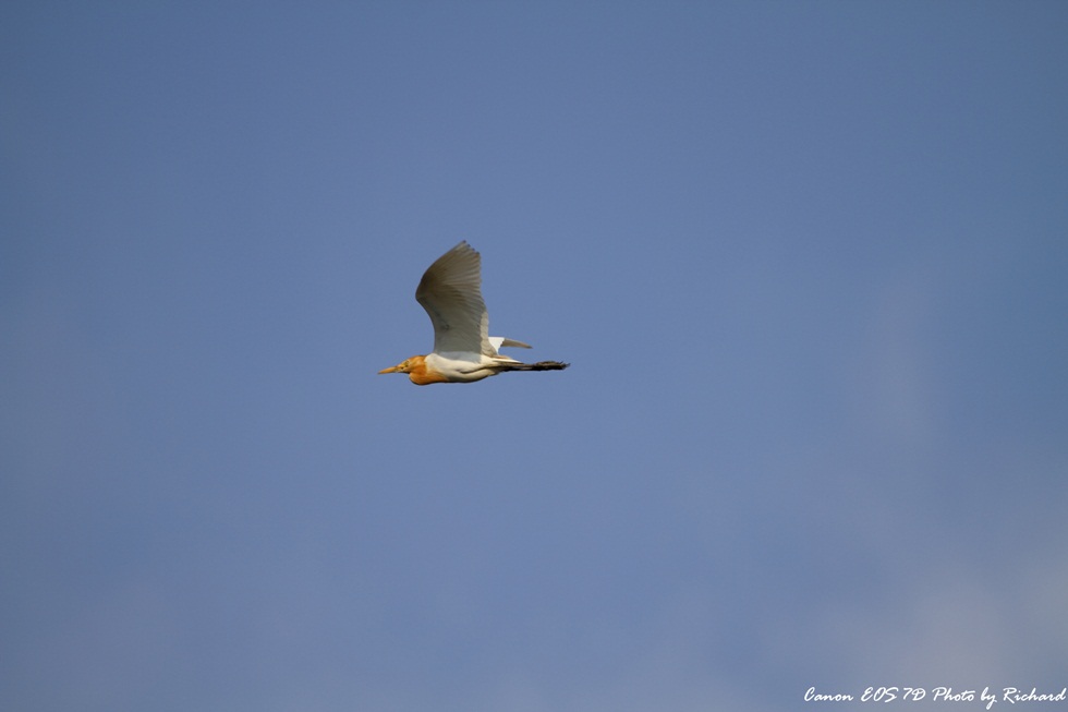 http://i.dcview.tw/gallery/201106/937ea24713a275b80e63d2b0d02f43ed.jpg