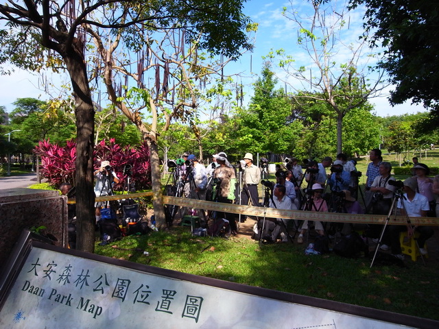 http://i.dcview.tw/gallery/201106/95279c23d858e93547db2da70c44ac92.jpg