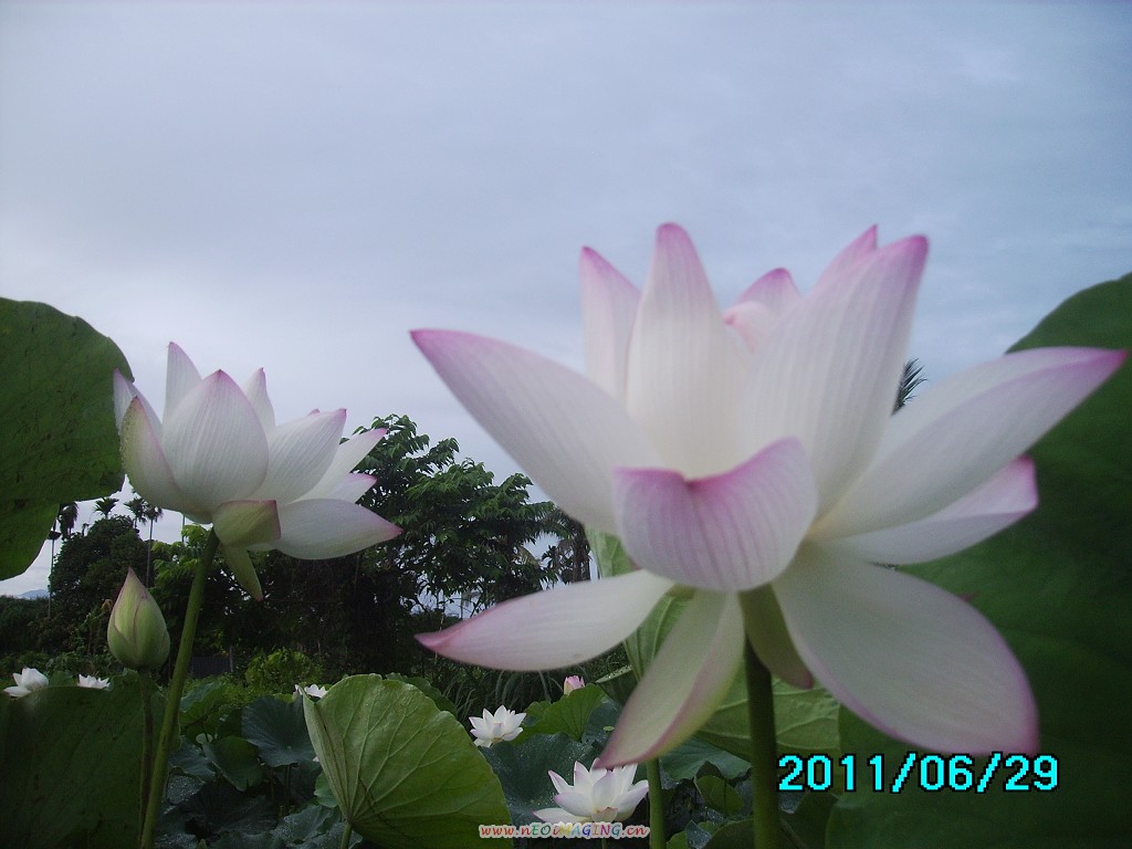 http://i.dcview.tw/gallery/201106/9546317f7f8fd36e70585c8de8709b91.jpg