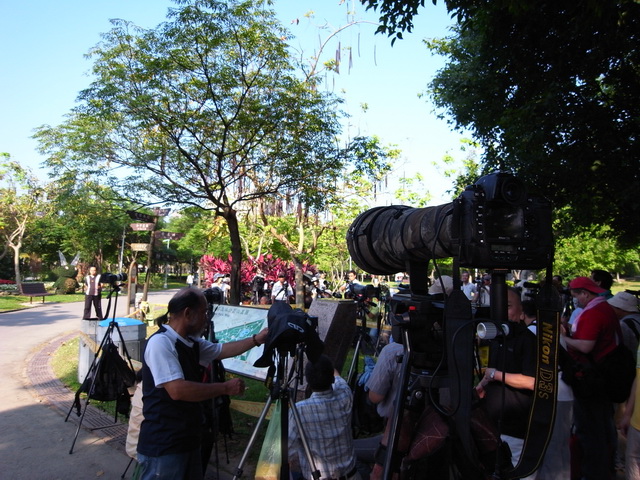 http://i.dcview.tw/gallery/201106/985ac70cf47a31e0711010a3eb2ce562.jpg