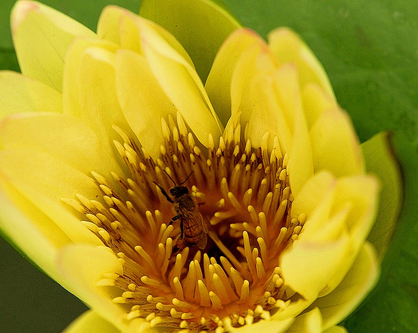 http://i.dcview.tw/gallery/201106/998730e8638344819d451105a810b05b.jpg