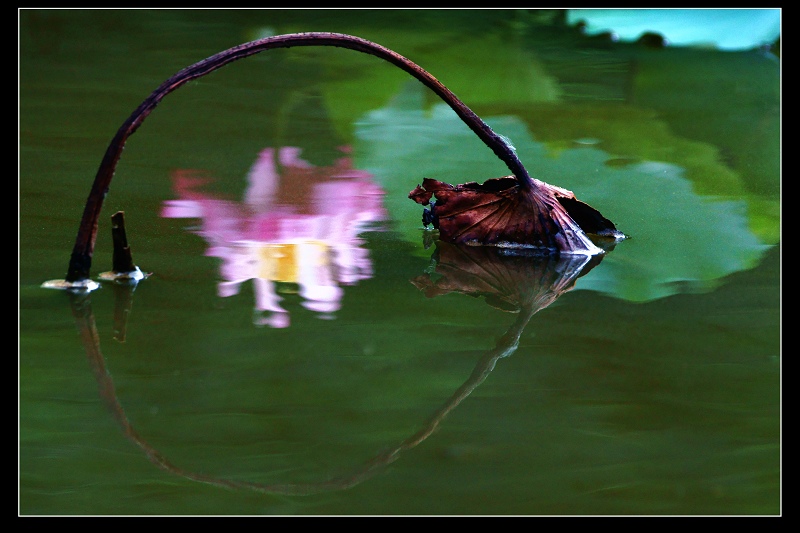 http://i.dcview.tw/gallery/201106/9da3c5887bceacfe6944d4b24864e4fd.jpg