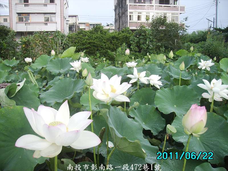 http://i.dcview.tw/gallery/201106/9e0d84187c95c07ab82672f804804b02.jpg