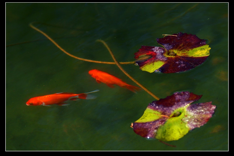http://i.dcview.tw/gallery/201106/9f41ecee1bd04692c12cd0cd036ff88d.jpg