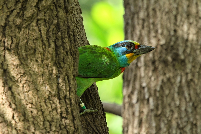 http://i.dcview.tw/gallery/201106/9f502f28c5c96262339306ce7f27993d.jpg