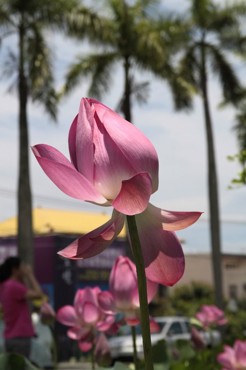 http://i.dcview.tw/gallery/201106/9fd36721dd6b5c11e1690d60e4c92bf4.jpg