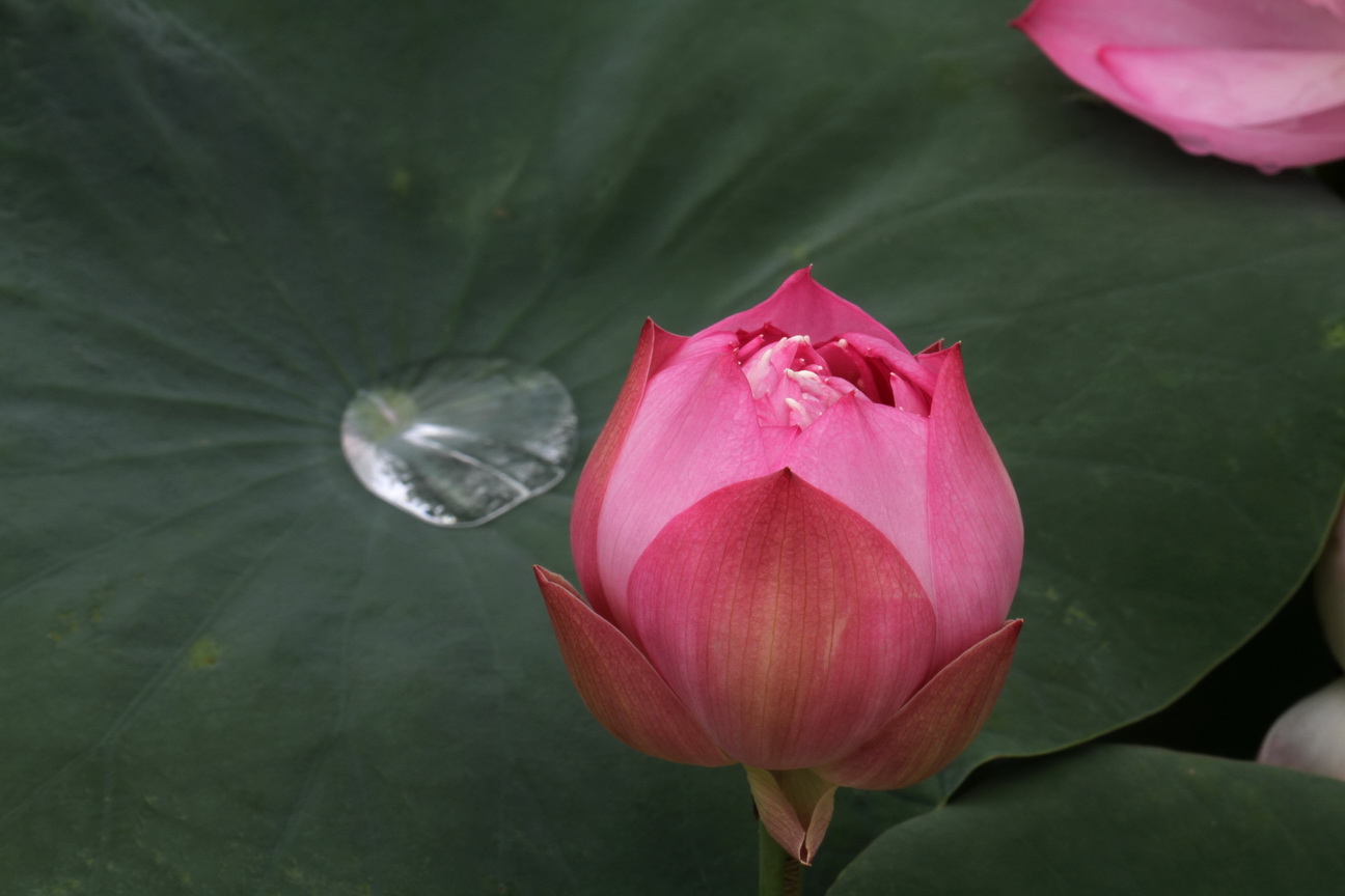 http://i.dcview.tw/gallery/201106/a0b88707e8f257e66609864bd83be8b6.jpg