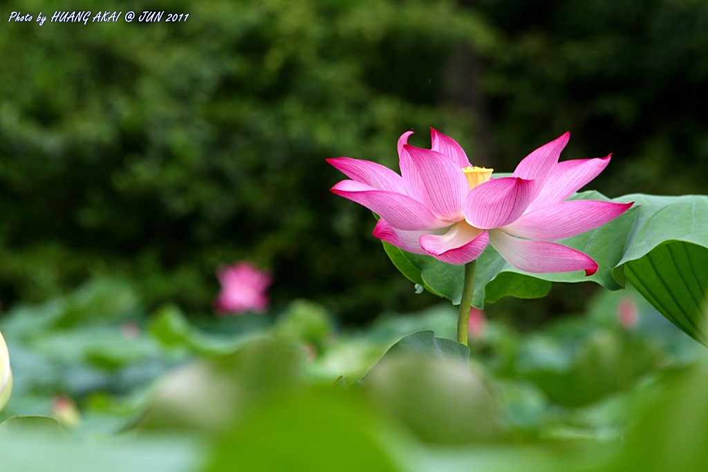 http://i.dcview.tw/gallery/201106/a167629b1b0cd9167ff6afd687b344a6.jpg
