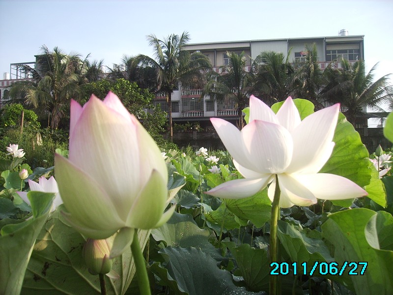 http://i.dcview.tw/gallery/201106/a171cdd1a40c98ce32f8990bc04e4a5d.jpg