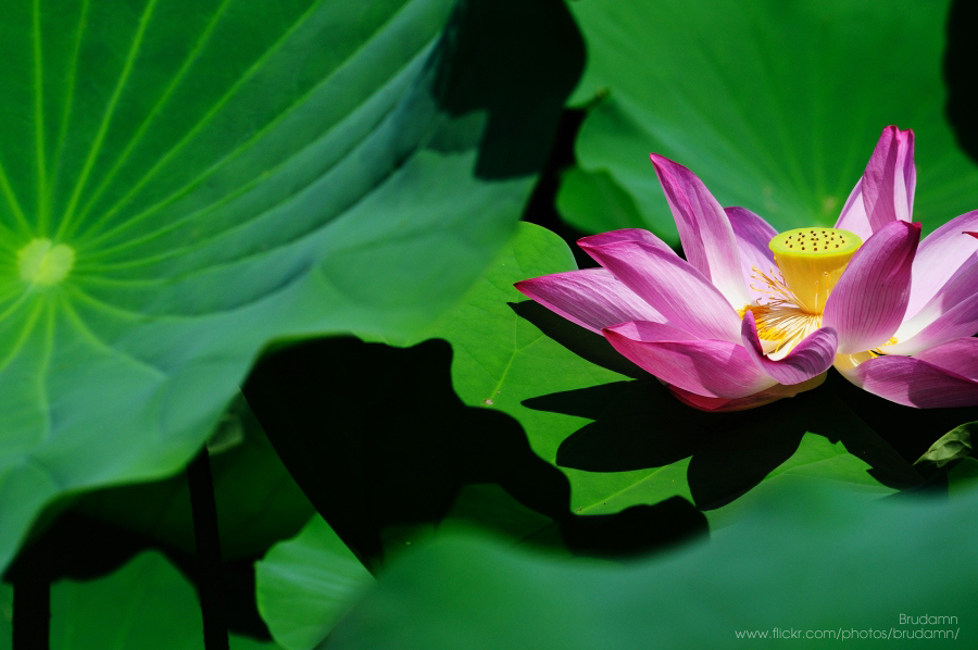 http://i.dcview.tw/gallery/201106/a21993f6d2c60ae4733440adc84b6c14.jpg