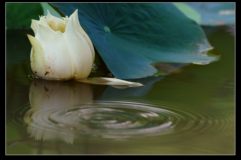 http://i.dcview.tw/gallery/201106/a3a04c01c01793b4b86729bf80fa9c47.jpg