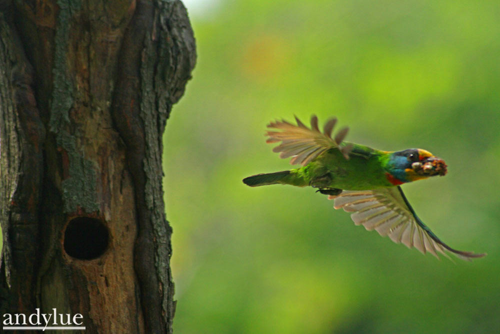 http://i.dcview.tw/gallery/201106/a4bfb073156157cf41ed7ac2540f2bb5.jpg