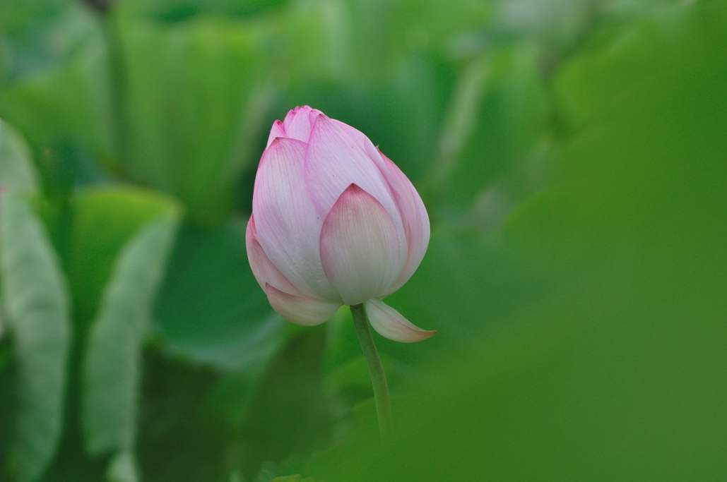 http://i.dcview.tw/gallery/201106/a56e373d70c658429db0ec1f9bc511b0.jpg
