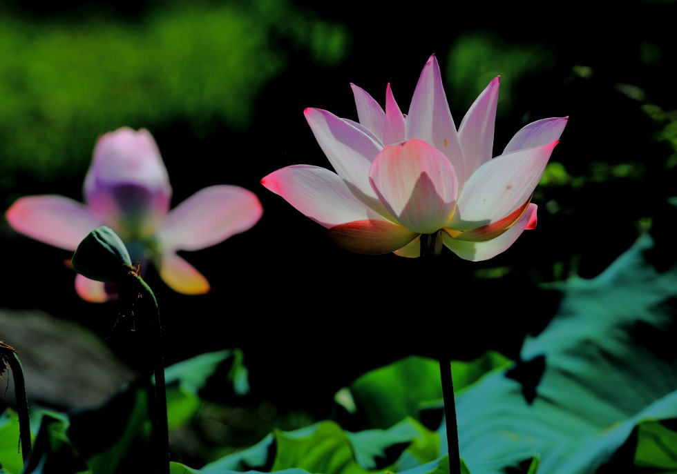 http://i.dcview.tw/gallery/201106/a64aba6da1a070cb56e4a10d76c530fe.jpg