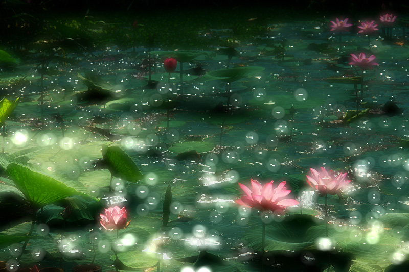 http://i.dcview.tw/gallery/201106/a6bca161438122aff513e1efcfad6f71.jpg